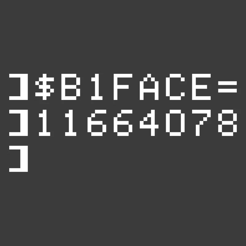 B1FACE Biface Code hexadécimal 8 bits Geek