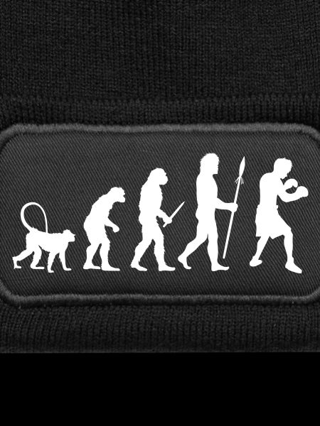 Evolution des Boxens