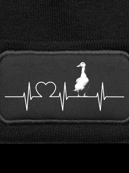 Ducks Duck