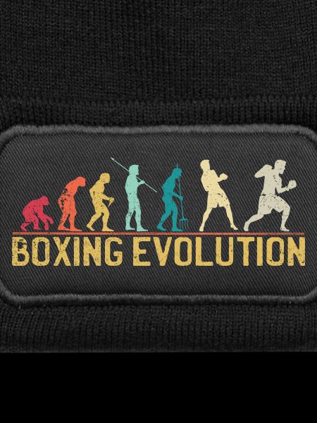 Boxen Evolution Progression Design