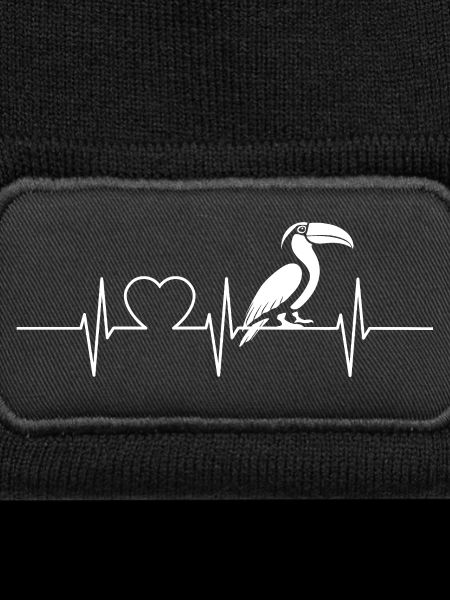 Toucans Toucan