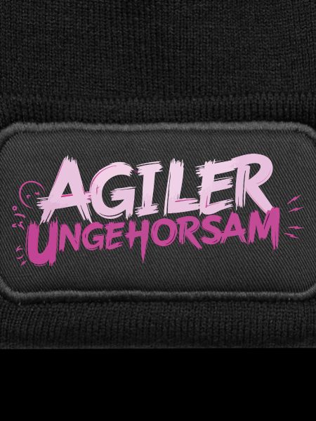 Désobéissance Agile - Déclaration