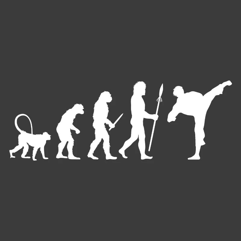 Karate Evolution