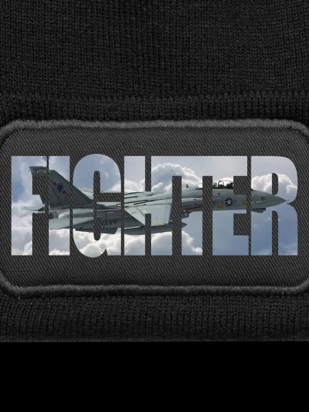 Fighter F-14 Tomcat