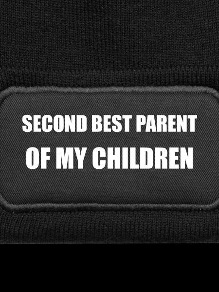 Deuxième meilleur parent