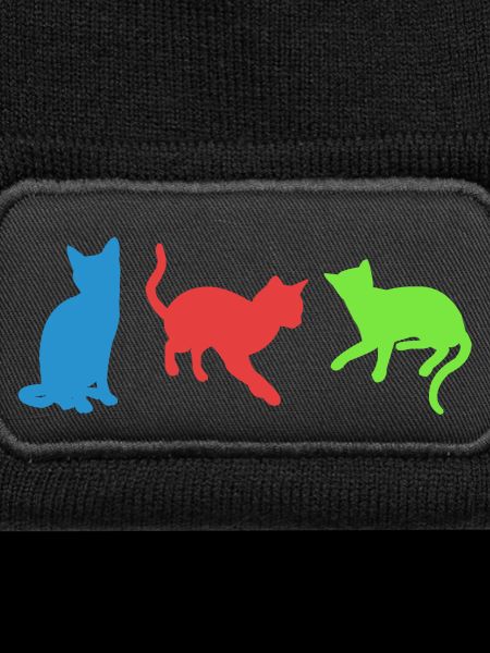 cats