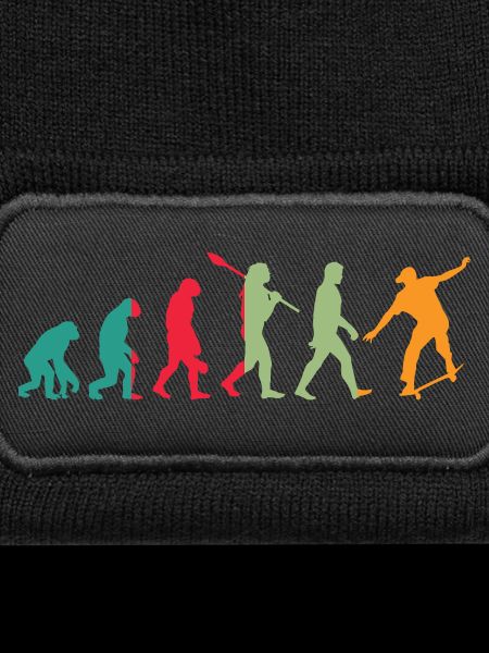 Evolution Skater