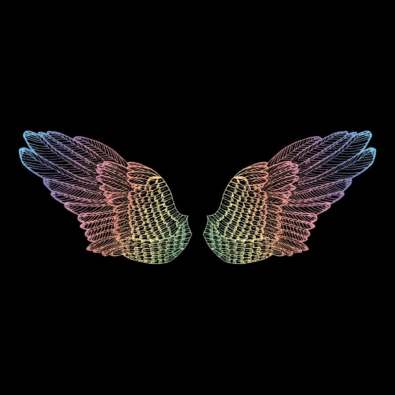 Regenbogen Flügel Flugmodus