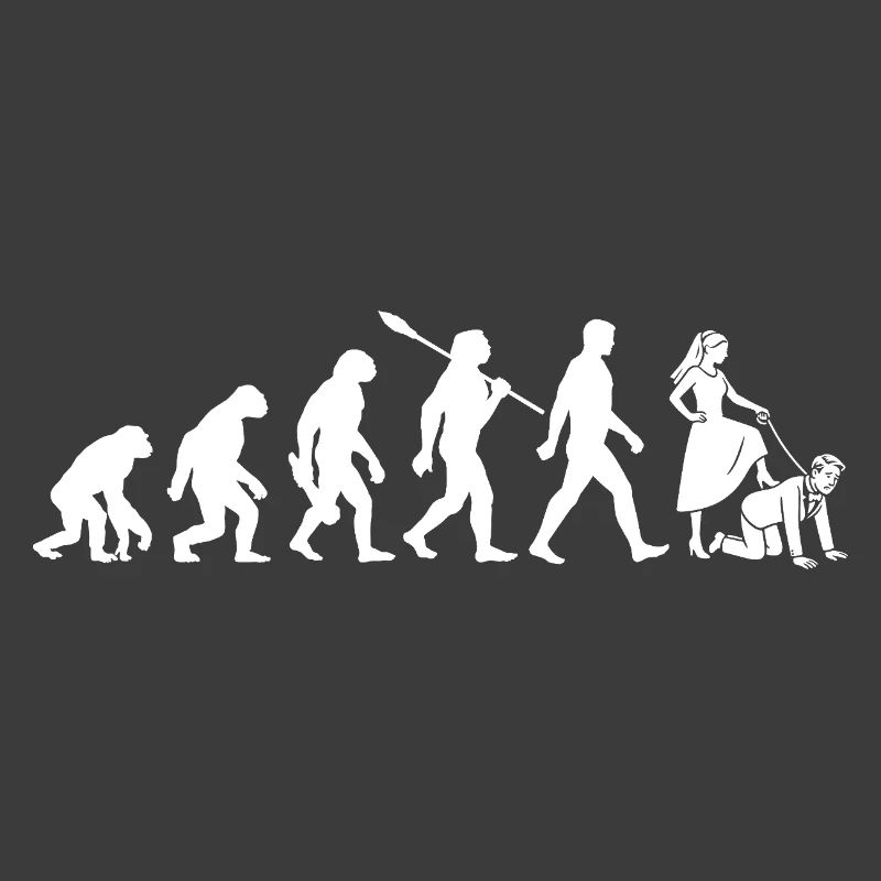 Bachelor Party - Evolution Bachelor