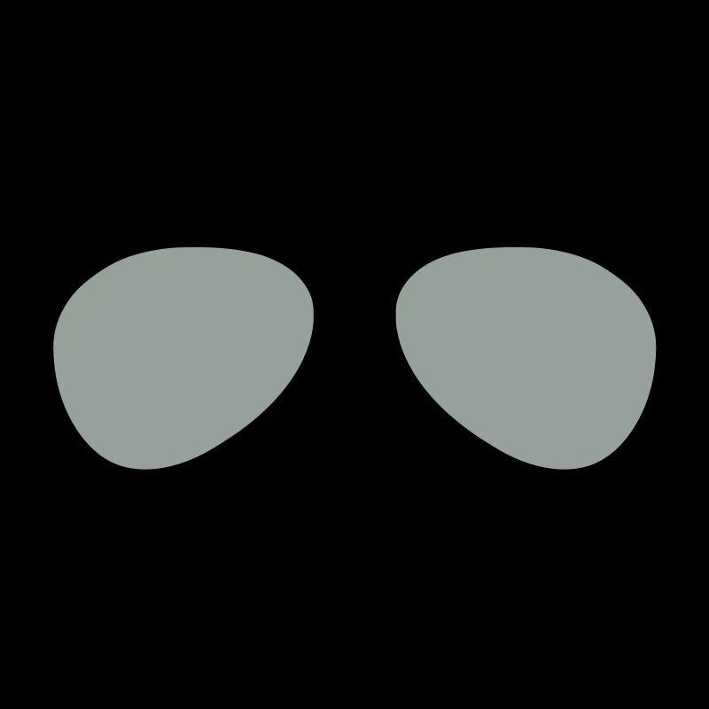 The Aviator Goggles