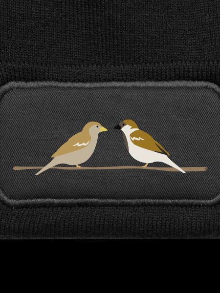 sparrows