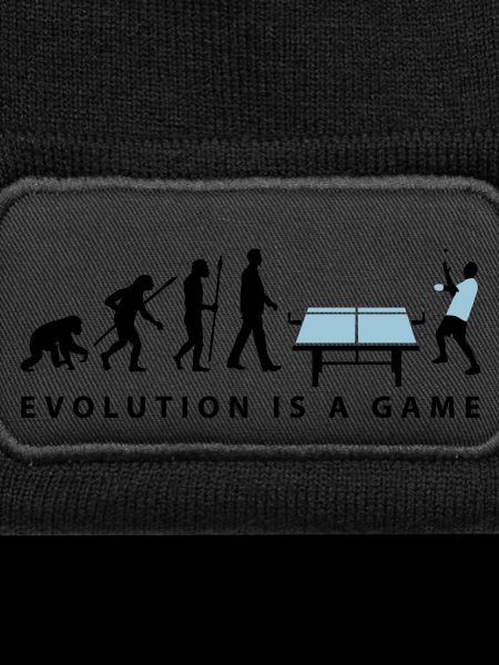 evolution_table_tennis_072012_c_2c