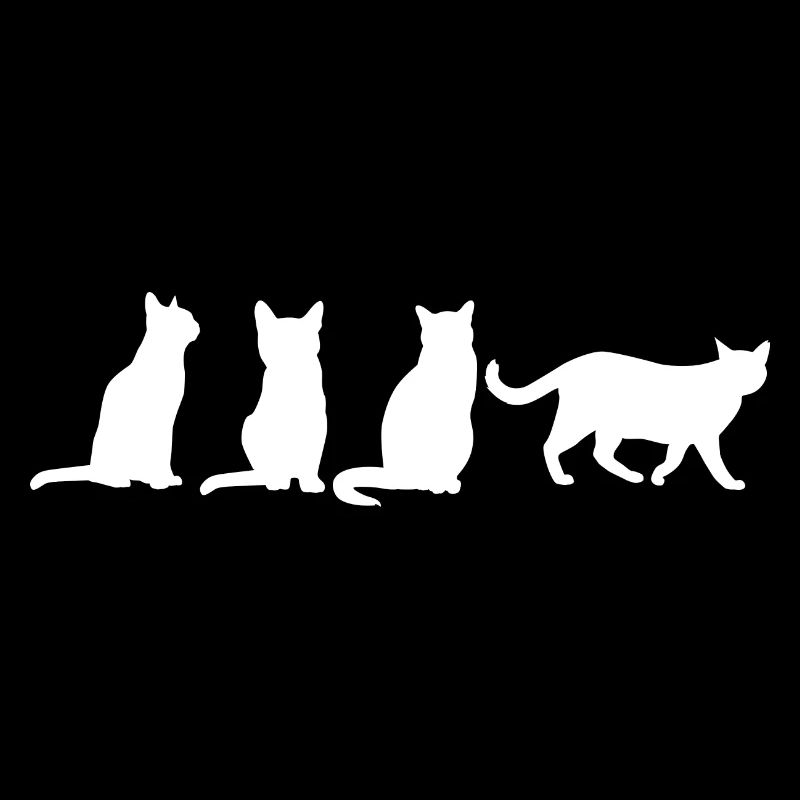 Drôles de chats