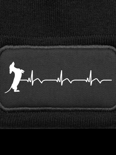 Dachshund ECG Heartbeat