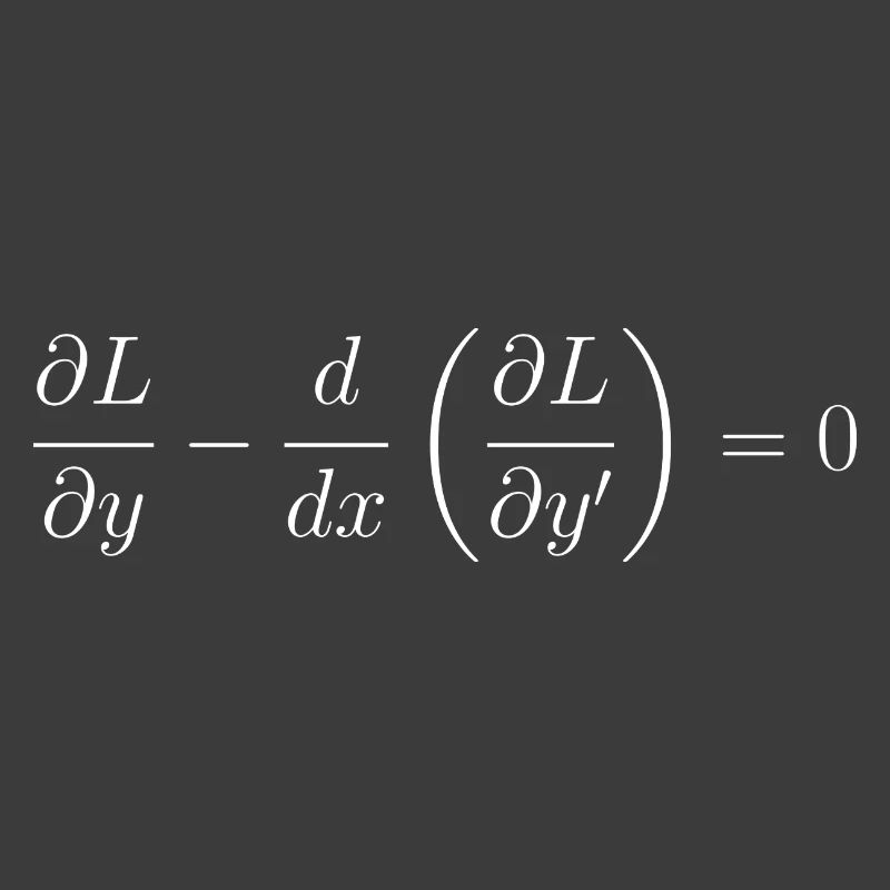 Euler-Lagrange equation fundamental notion physics