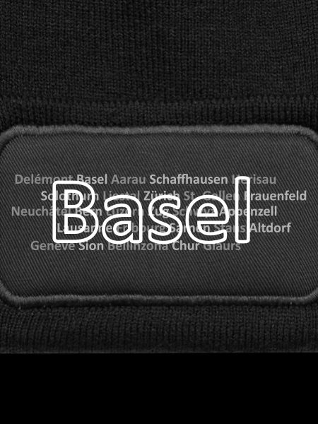 Schweizer Städte Basel