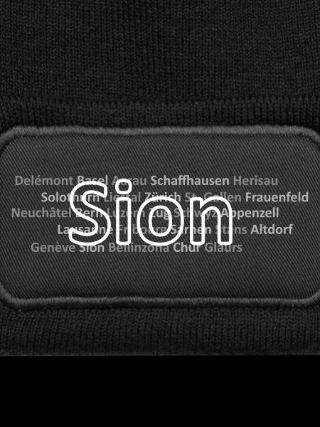 Schweizer Städte Sion