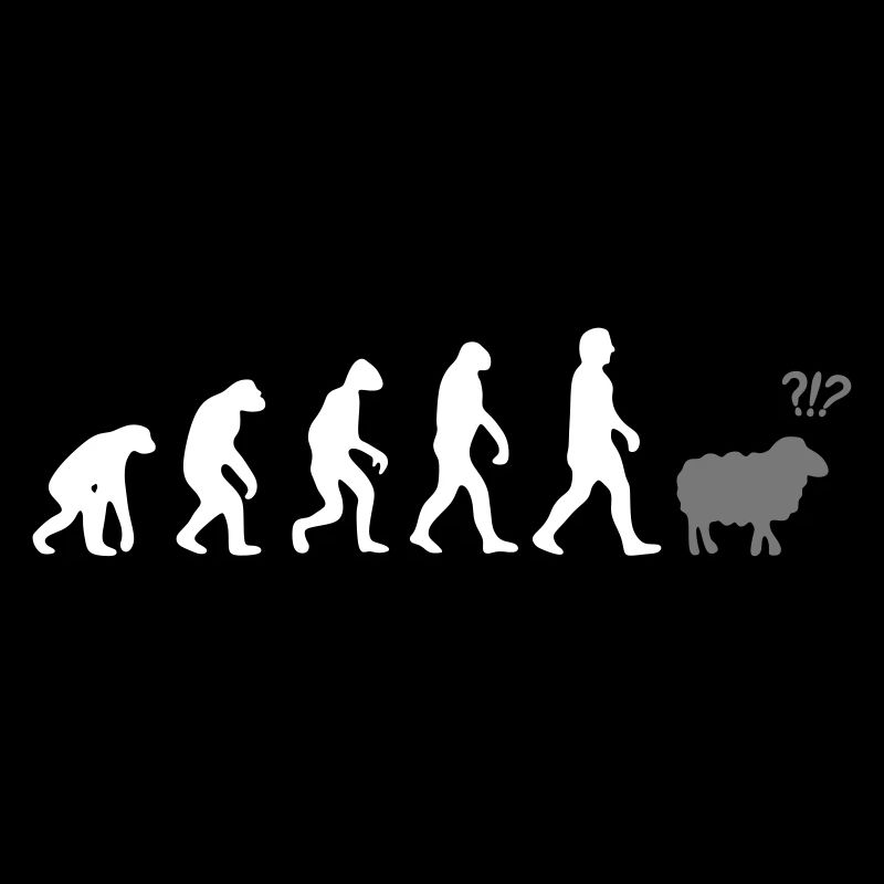 evolution mouton