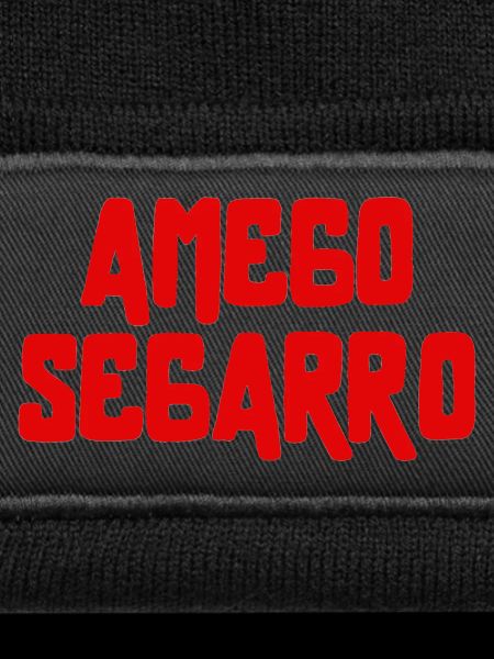 AMEGO SEGARRO