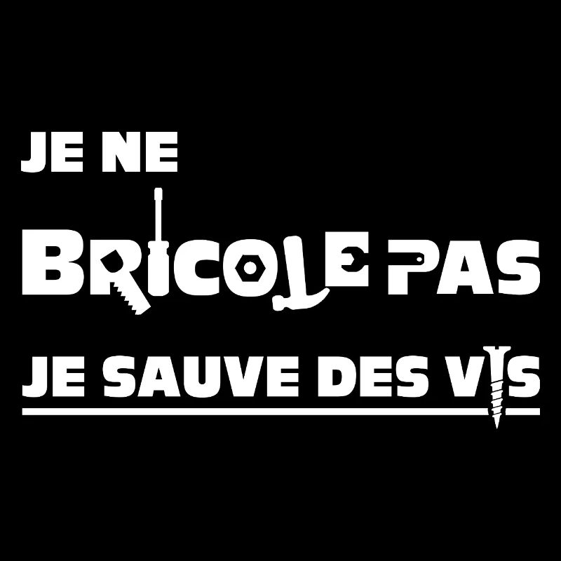 JE NE BRICOLE PAS, JE SAUVE DES VIS ! 