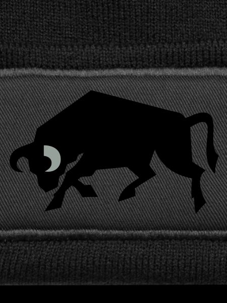 bull_2