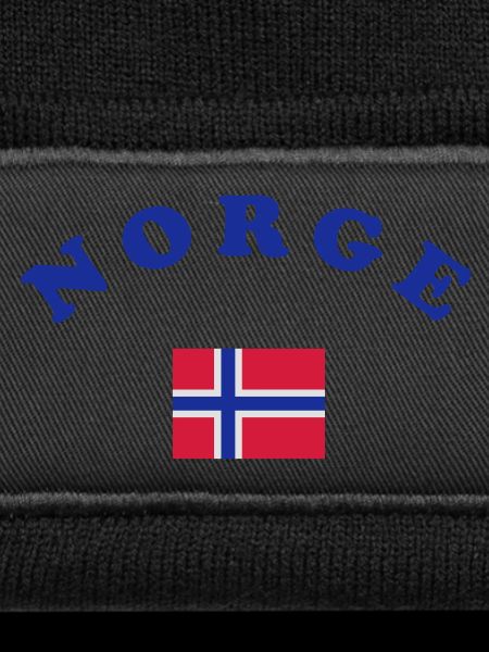 Norwegian flag