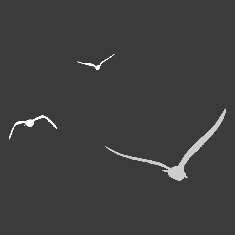 Three Seagulls | Seagull | Colors adjustable