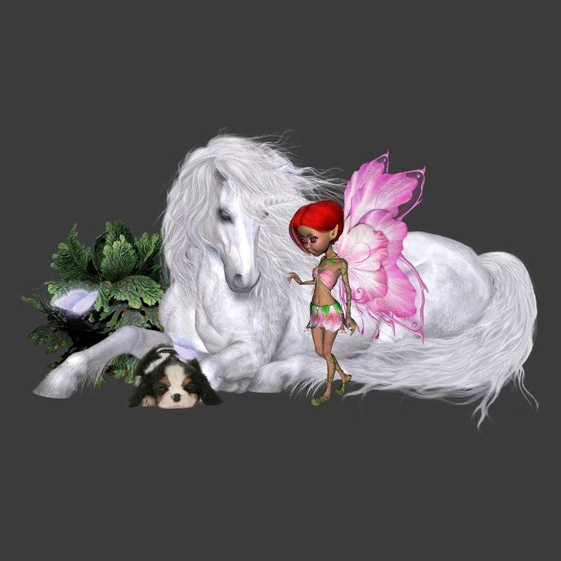 Wunderbares Einhorn mit Fee