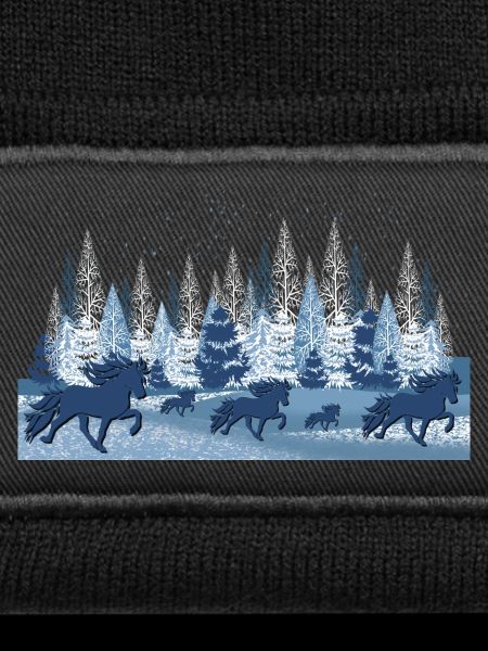 Winterlandschaft 2 mit Tölt