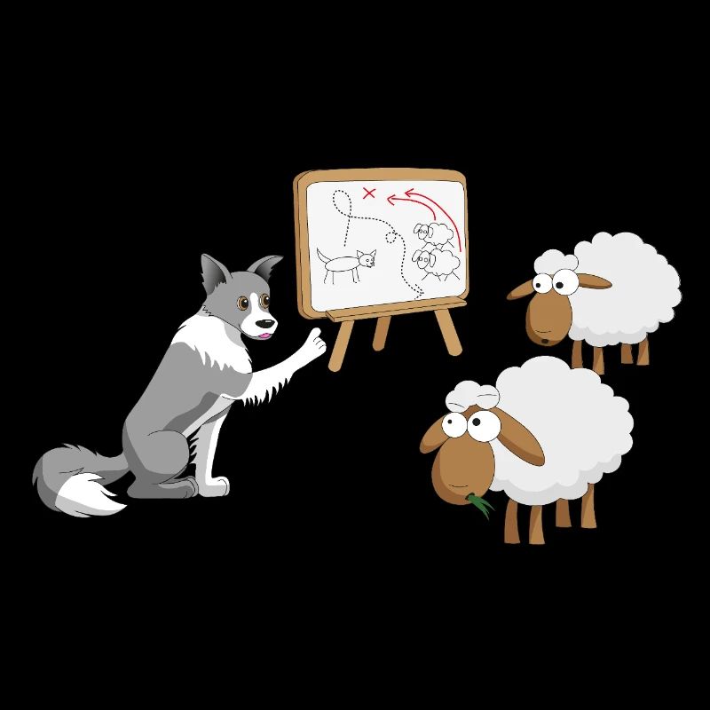 Border Collie Coach