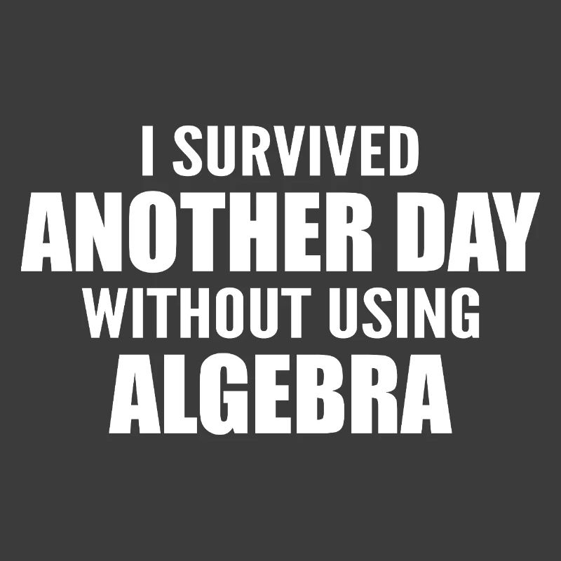 I survived without doing algebra today