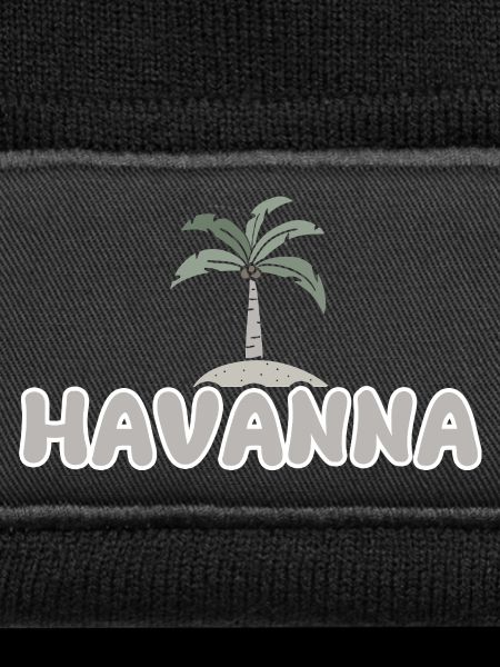 Havana Havana