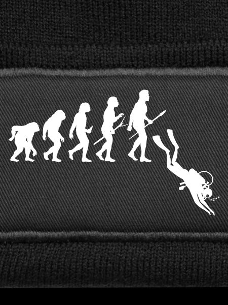Diver Evolution - Diving