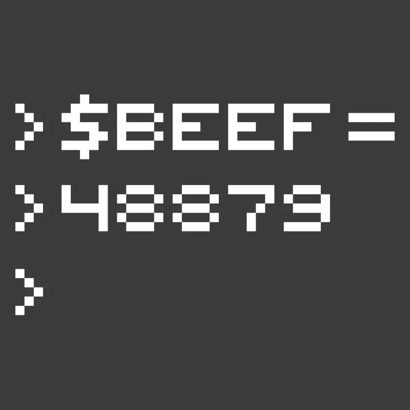BEEF 8-bit Code Nerd Pixel Terminal Rétro