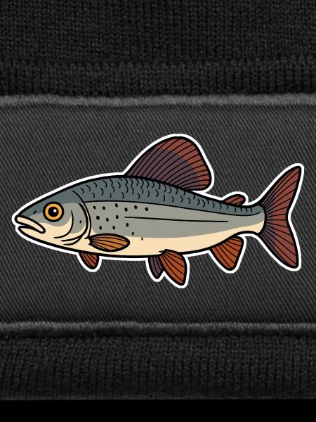 Fisch Äsche