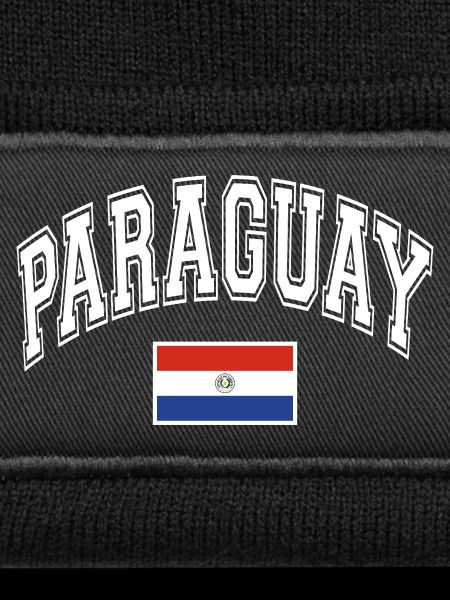 Paraguay Flag