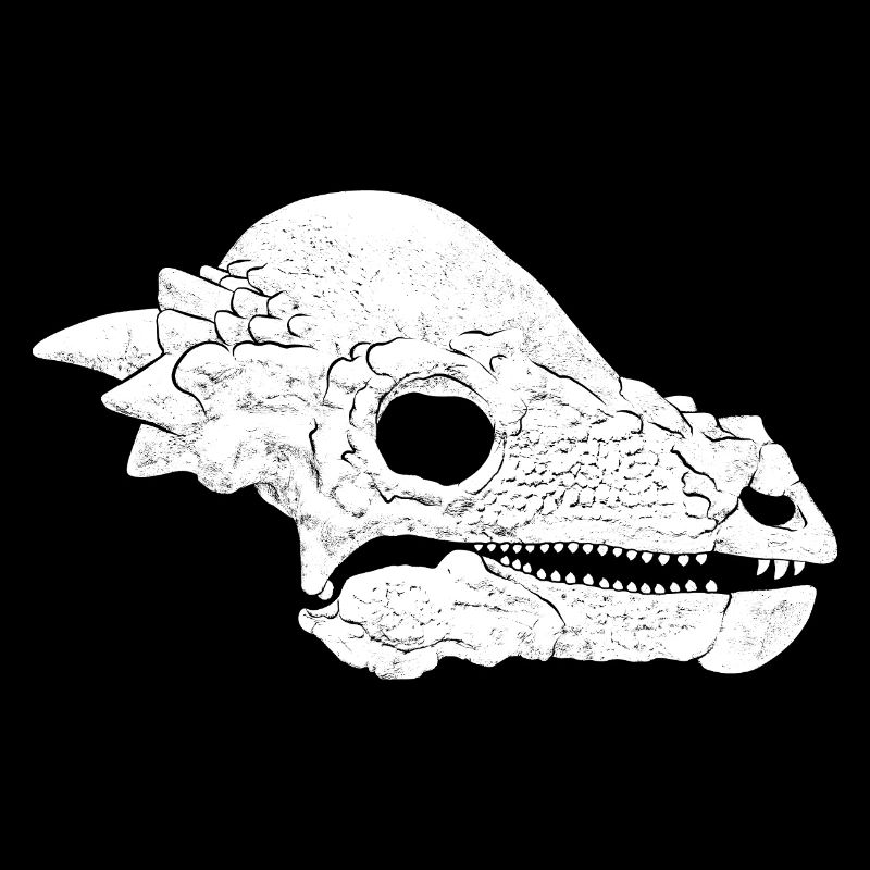 Pachycephalosaurus Fossil Schädel
