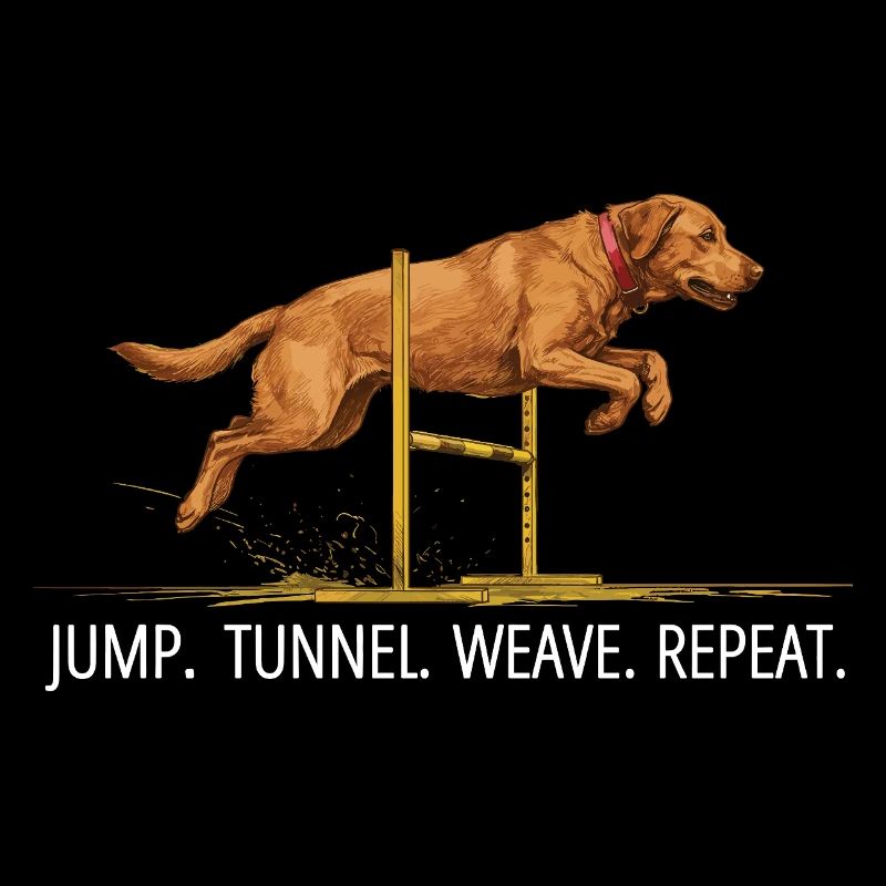 Répétition du tunnel de saut du Labrador Agility