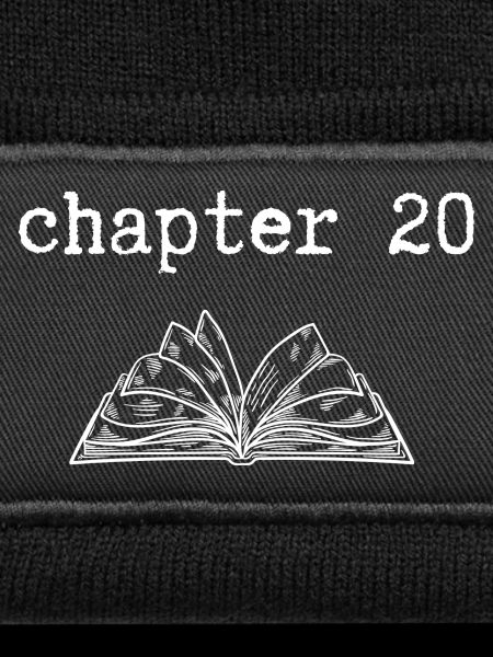 chapter 20 Birthday