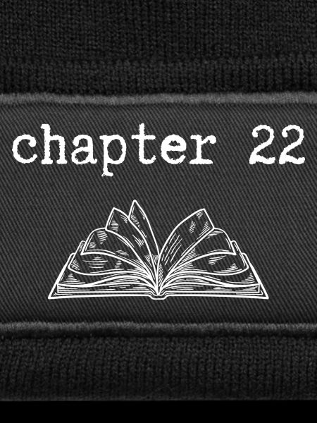 chapter 22 Birthday
