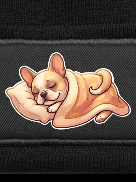 French Bulldog Sleeping