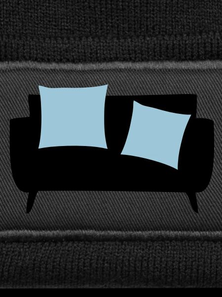 Sleeper sofa & Pillows