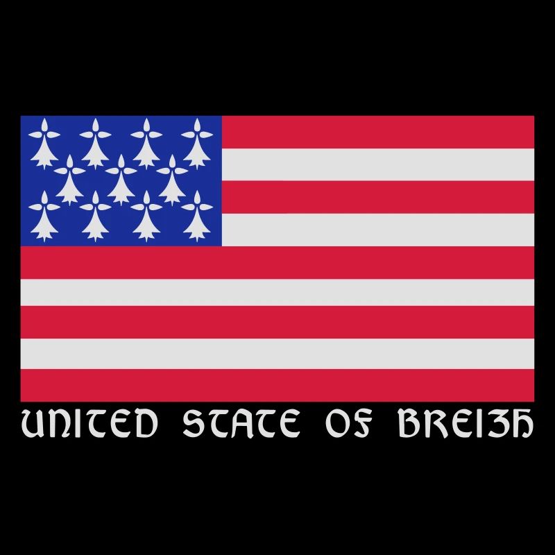 Drapeau de Bretagne Américain