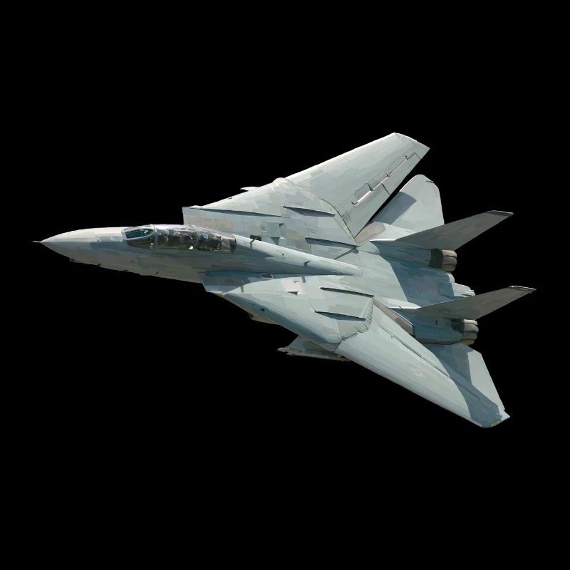 F-14 Tomcat