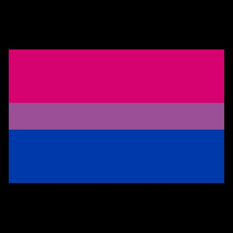 sticker bisexual pride flag Aufkleber gift idea
