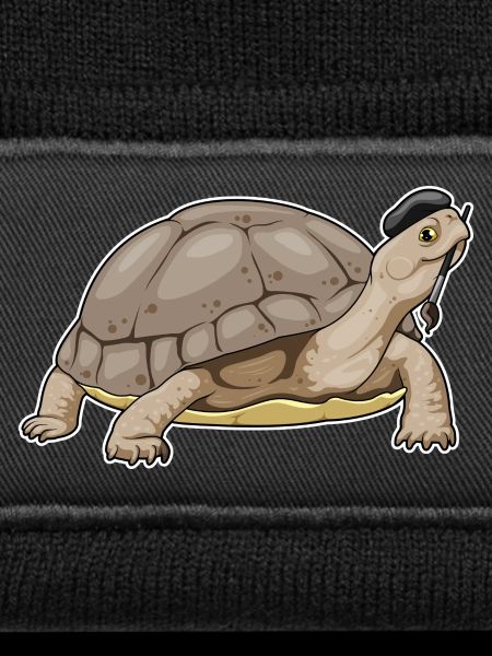 Turtle Painter Brush Painting
