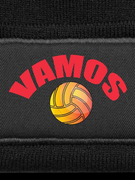 VAMOS