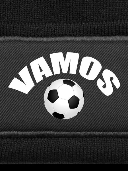 VAMOS