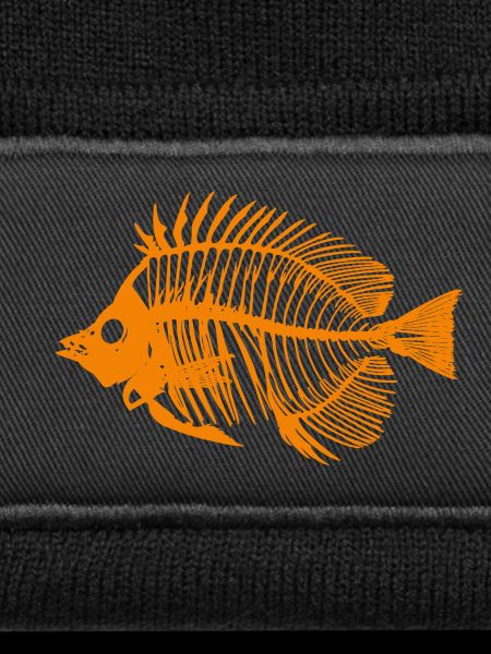 Fish Orange