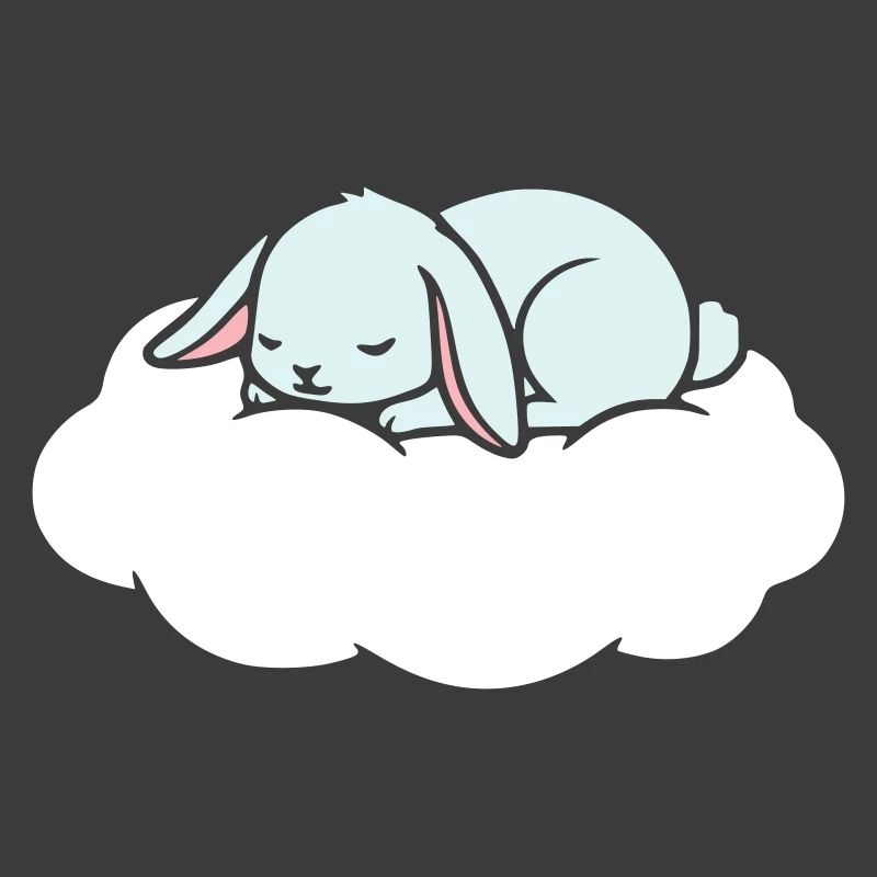 Sleeping Rabbit on Cloud Dream